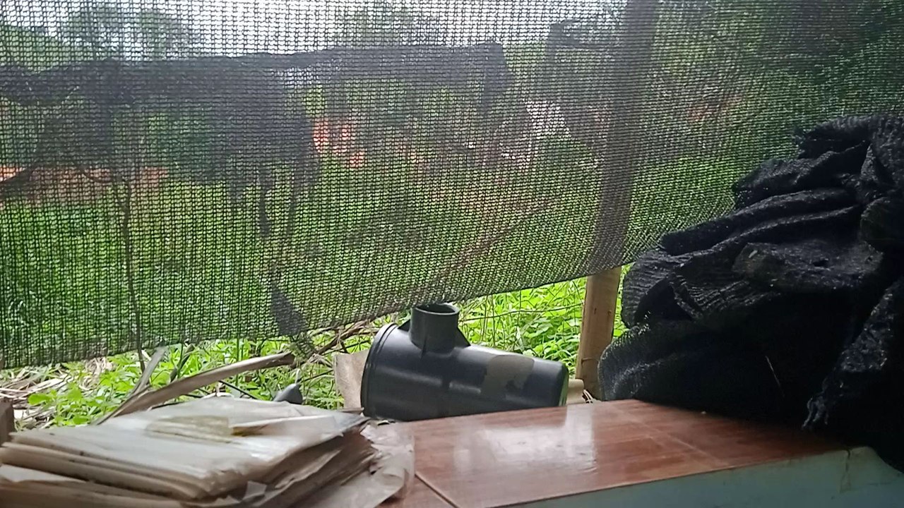 Vlog dezembro