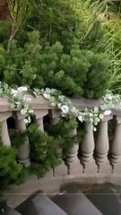 Mafia's Forbidden Catch – FULL Romantic Thriller Movie (2026) | Dark Romance