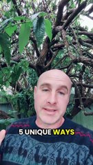 5 Unique Ways to Have Leverage with Affiliate Marketing