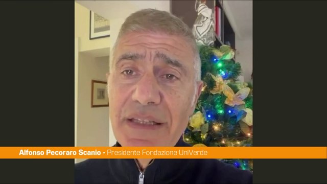 Ponte sullo Stretto, Pecoraro Scanio Progetto fallito, Governo dica la verità