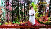 Irina Loghin - Ce e viata omului (Favorit TV - 11.12.2025)