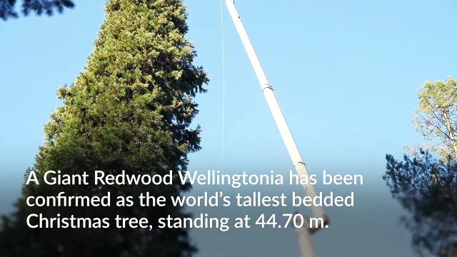 Guinness World Records reveals two new festive records