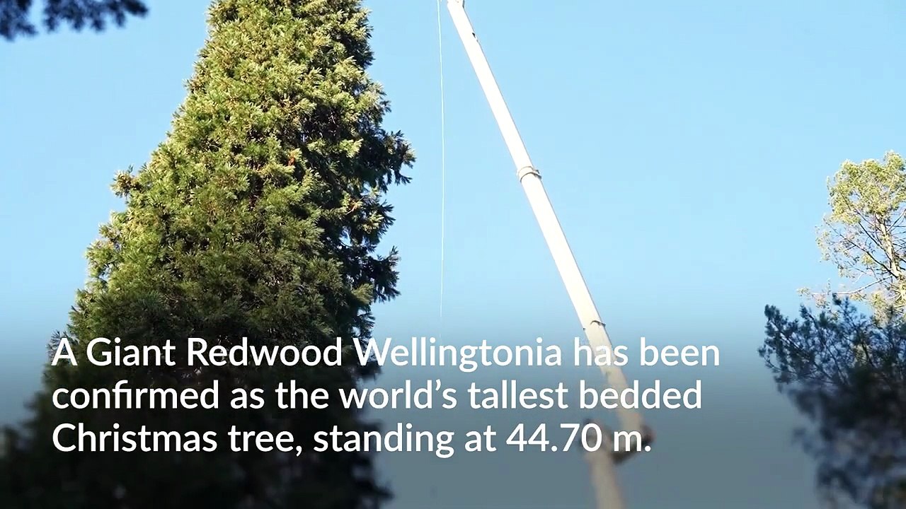 Guinness World Records reveals two new festive records