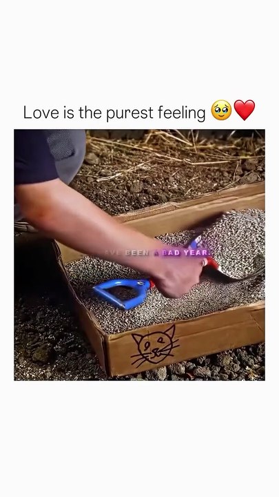 Love is the purest feeling 🥹❤️