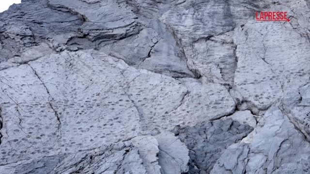 Orme di dinosauri nel Parco dello Stelvio, Fontana: «Regalo della storia alle Olimpiadi»
