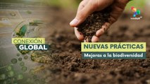 Agricultura regenerativa una alternativa ante el cambio climático