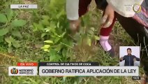 Gobierno anuncia estudio técnico para definir la cantidad real de hoja de coca para uso legal