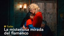 La misteriosa mirada del flamenco - Trailer