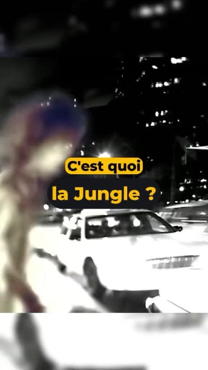 C’est quoi la Jungle ?