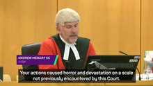 'Your actions caused horror and devastation' - Judge Andrew Menary KC on Paul Doyle