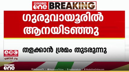 ഗുരുവായൂർ ക്ഷേത്രത്തിൽ ആന ഇടഞ്ഞു, ദേവസ്വം കൊമ്പൻ ശ്രീധരനാണ് ഇടഞ്ഞത്