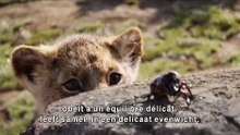 The Lion King: Trailer HD VO st FR/NL