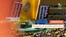 Conexión Digital 16-12 ONU aprueba la autodeterminación de Palestina