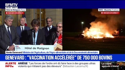Colère des agriculteurs: Annie Genevard annonce "la vaccination accélérée" de 750 000 bovins