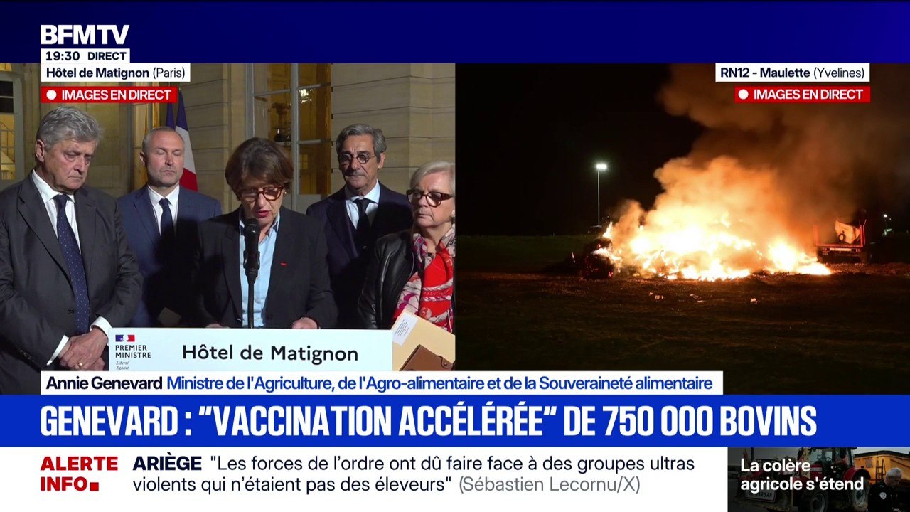 Colère des agriculteurs: Annie Genevard annonce "la vaccination accélérée" de 750 000 bovins
