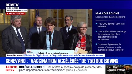 Dermatose nodulaire: "Les contrôles seront renforcés pour éviter que la maladie se propage" annonce Annie Genevard