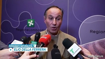 Nel Parco dello Stelvio trovate migliaia di orme di dinosauri