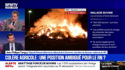 Colère des agriculteurs: "Les éleveurs savent que ce gouvernement ne les soutient pas" affirme Jean-Philippe Tanguy