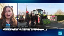 Informe desde París: agricultores protestan por sacrificio masivo de ganado por enfermedad bovina