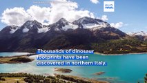 Thousands of dinosaur footprints discovered on rock faces in northern Italy