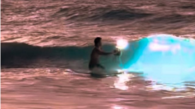 Sfida le onde per uno scatto perfetto: il fotografo che racconta la bellezza del mondo subacqueo