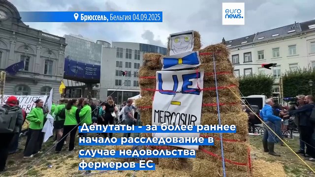 Европарламент поддержал защитный пункт соглашения с Mercosur