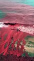 El impactante fenómeno, causado por el suelo rojo rico en minerales de la isla que se vertía en el mar
