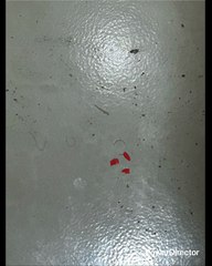 2 DIABLO MAMÁ A MI YA TE ECHASTE A TU PAPA Y ME ESTÁS ECHANDO A MI AL PANTEÓN PORQUE SIEMPRE HAS JODIDO CON LOS MEXICANOS Y DE MTY QUE SON  ENANO$ CHAPARROS  PRIETO$ MORENOS CAFÉS GORDO$ PERDEDORES VIEJAS  ESPANTAPÁJAROS TAPONES DE ALBERCA (NI DADAS JA)