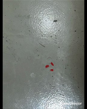 2 DIABLO MAMÁ A MI YA TE ECHASTE A TU PAPA Y ME ESTÁS ECHANDO A MI AL PANTEÓN PORQUE SIEMPRE HAS JODIDO CON LOS MEXICANOS Y DE MTY QUE SON ENANO$ CHAPARROS PRIETO$ MORENOS CAFÉS GORDO$ PERDEDORES VIEJAS ESPANTAPÁJAROS TAPONES DE ALBERCA (NI DADAS JA)