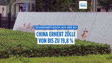 Nach Handelsstreit: China erhebt langjährige Zölle auf EU-Schweinefleisch