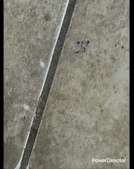 S Y A  MI NOMAS ME GUSTÓ UNA MUJER Y MUCHOS HOMBRES JA ES BROMA ESO Y YA GRANDE RUCO VIEJO ME GUSTÓ ELLA NO ME HIZO CASO HASTA NOS PELEAMOS NOS DIMOS HASTA CON LA CUBETA CON EL TRAPEADOR Y LA ESCOBA ESOS 2 OBJETIVOS NO CUMPLÍ Y YO ME EXIJO CONFÍO EN MI