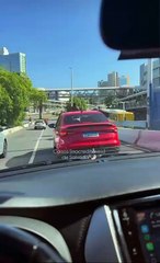 Cavalos circulam ao lado de veículos em uma das principais avenidas de Salvador; assista