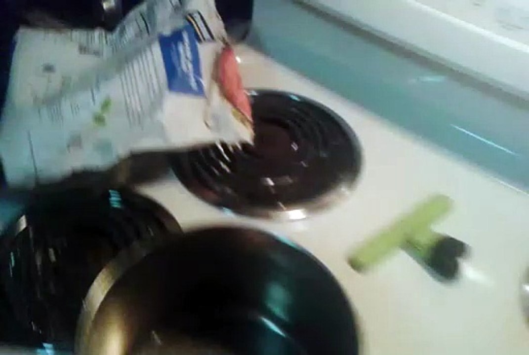 Perdue Chicken Pattie Parm
