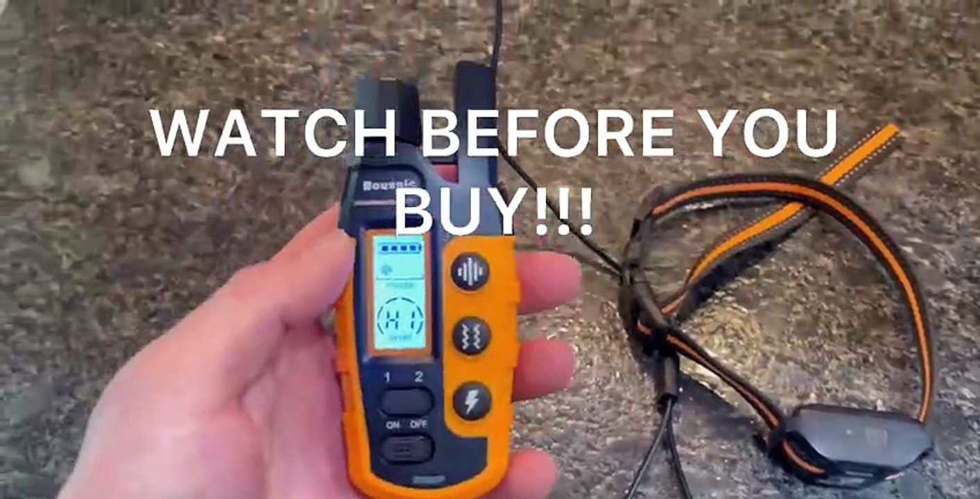 Best Dog Training and Recall Collar with 3300ft Range and Remote (Rechargeable & Waterproof) – Review!