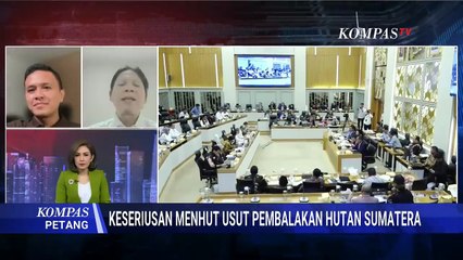 Kritik Pedas! Greenpeace Soal Langkah Menhut Usut Pembalakan Liar Penyebab Banjir Sumatera