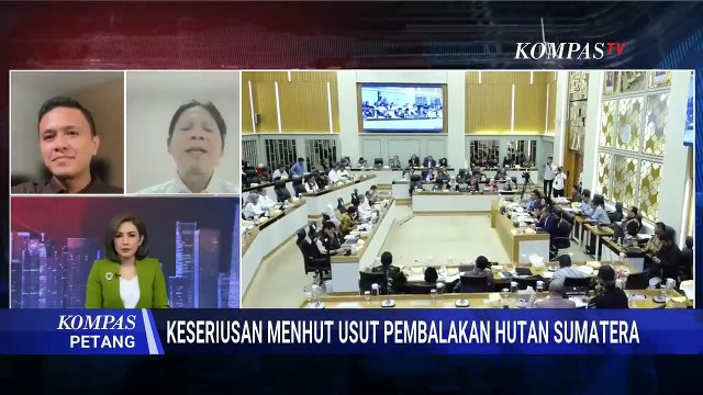 Kritik Pedas! Greenpeace Soal Langkah Menhut Usut Pembalakan Liar Penyebab Banjir Sumatera