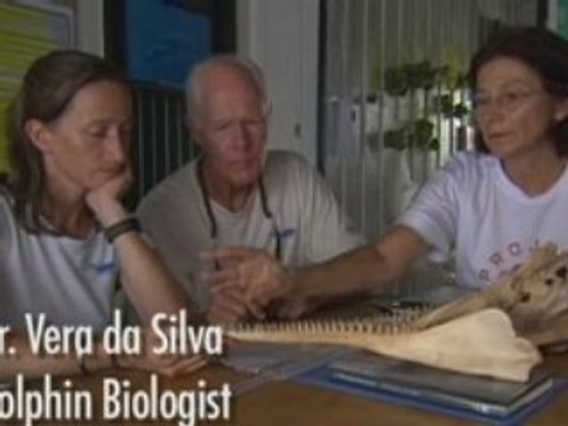 JEAN-MICHEL COUSTEAU: OCEAN ADVENTURES | Pink Dolphins | PBS