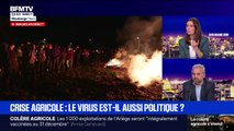 Crise agricole : le virus est-il aussi politique ? - 16/12