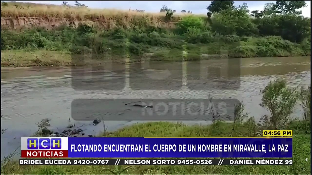 En Vivo (8716)