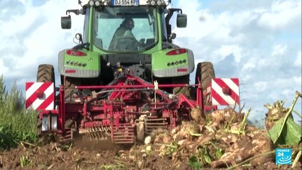 Tras 25 años, UE y Mercosur avanzan en su tratado comercial