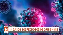 ALERTA NARANJA POR GRIPE H3N2