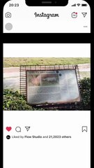 🦏 This Gentle Giant Rules the Grasslands of India  #OneHornedRhino #IndianWildlife