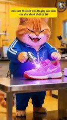 Mimi thua vì bị ăn gian và màn phục thù không ai ngờ tới #ai #shorts #dog #poodle #cute