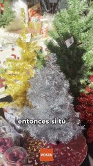 ¿Cómo desechar correctamente los árboles naturales de Navidad en Nuevo León?