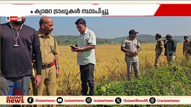 കണിയാമ്പറ്റയിൽ ഇറങ്ങിയ കടുവയെ കാടുകയറ്റാൻ ശ്രമം തുടരുന്നു