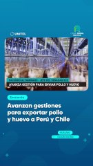 Avanzan gestiones para exportar pollo y huevo a Perú y Chile