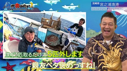 魚が食べたい！ ～地魚さがして3000港～ 2025年12月17日放送 Ep249 エビみたいなカニ！？前にも歩く謎のカニ漁に密着