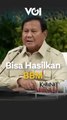 Ini Alasan Presiden Prabowo Ingin Papua Ditanami Kelapa Sawit
