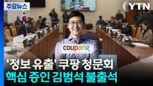 '정보 유출' 쿠팡 청문회...김범석 불출석에 '맹탕'? / YTN