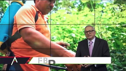 El Dato - Programa mundial de alimentos - Martes 16 de diciembre 2025